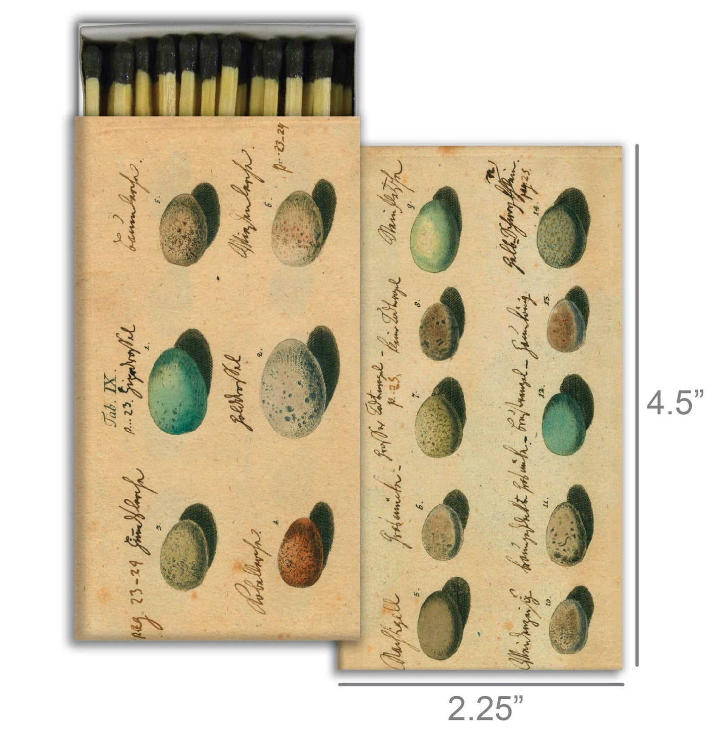 Match Box - Eggs