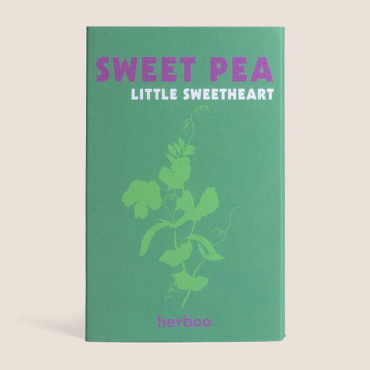 Sweet Pea 'Little Sweetheart' Seeds