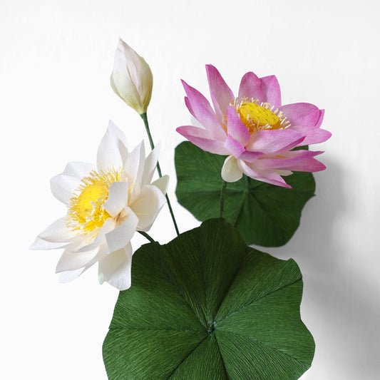 Make Your Own Crepe Paper White Sacred Lotus Flower