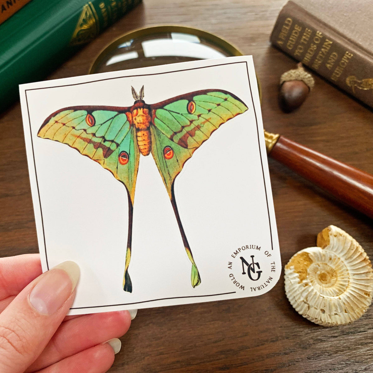Luna Moth Sticker