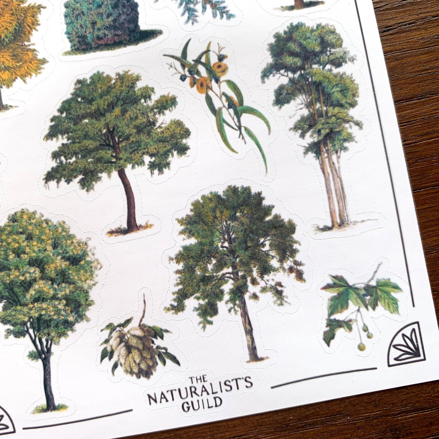 Vintage Trees II Sticker Sheet