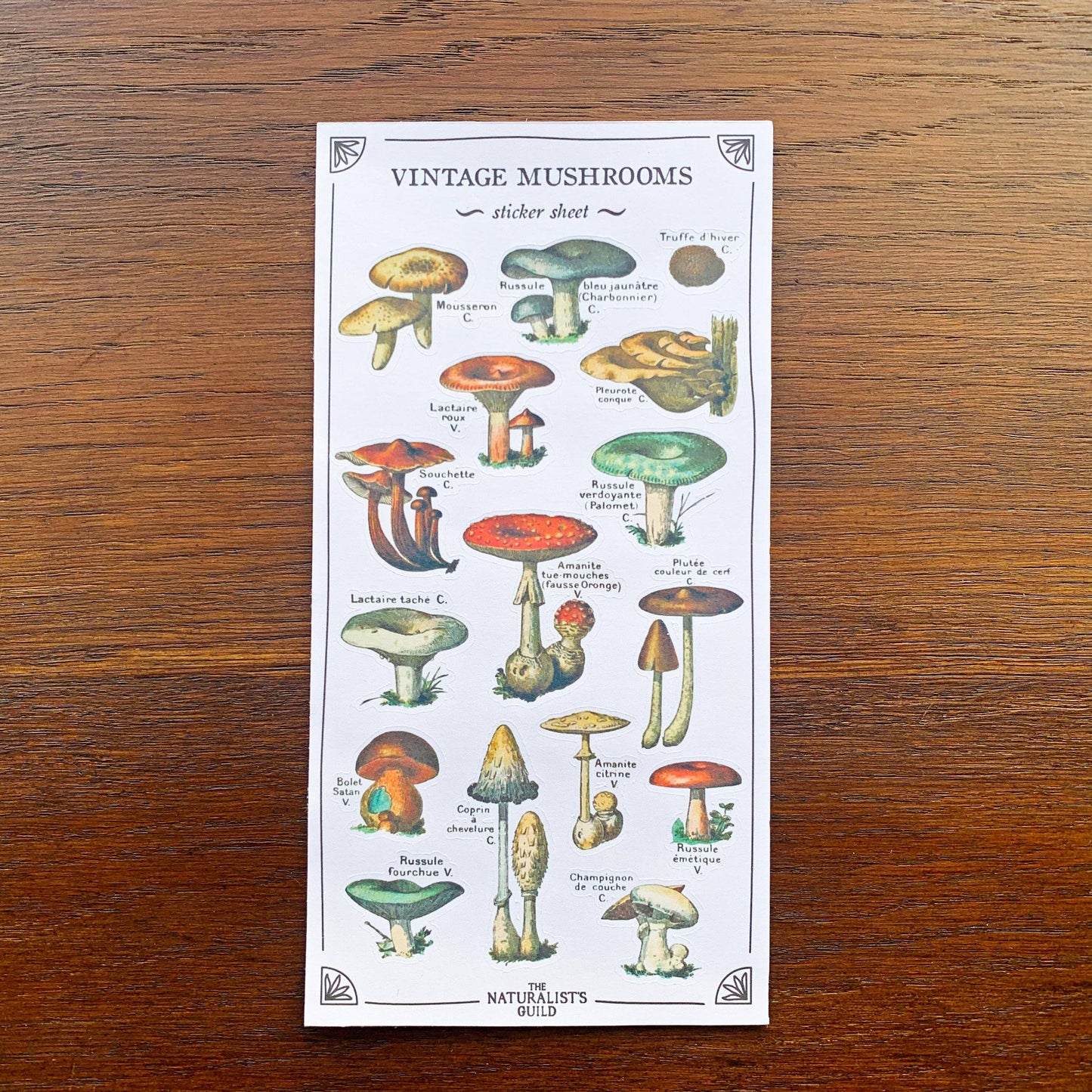 Vintage Mushroom Sticker Sheet
