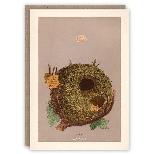 Wren Nest - Greeting Card