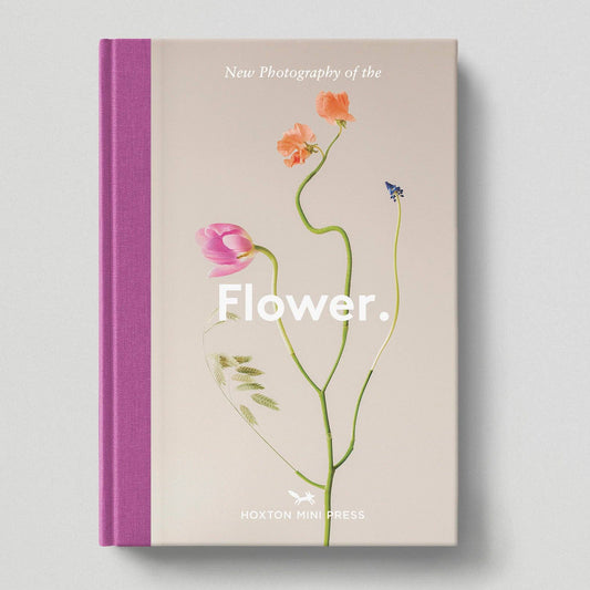 New photography of the Flower
