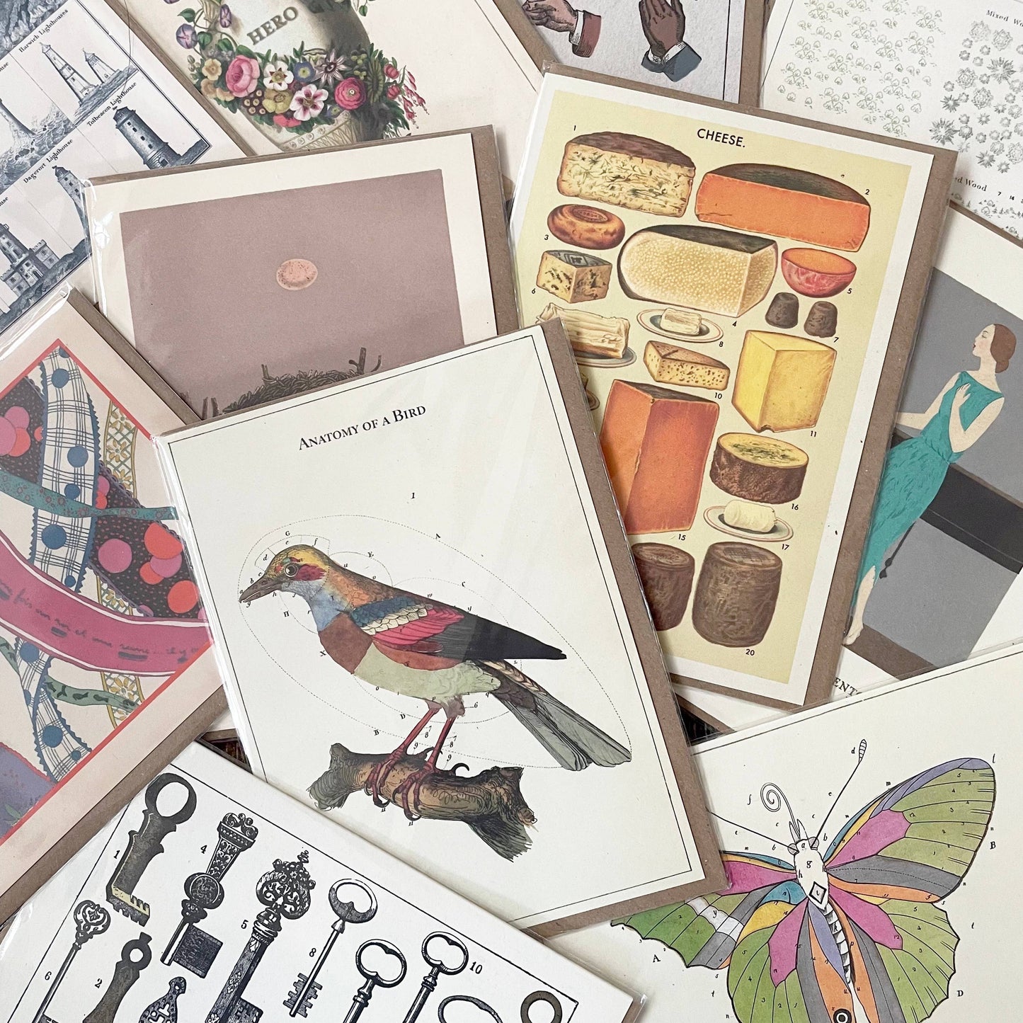 Wren Nest - Greeting Card