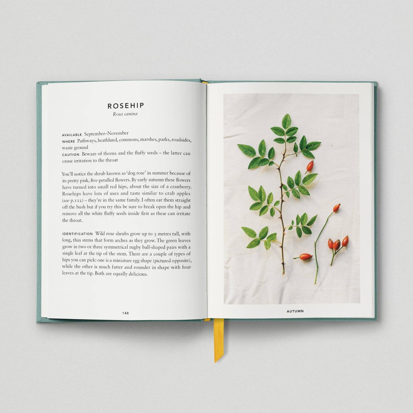 The Urban Forager: Find and Cook Wild Food in the City