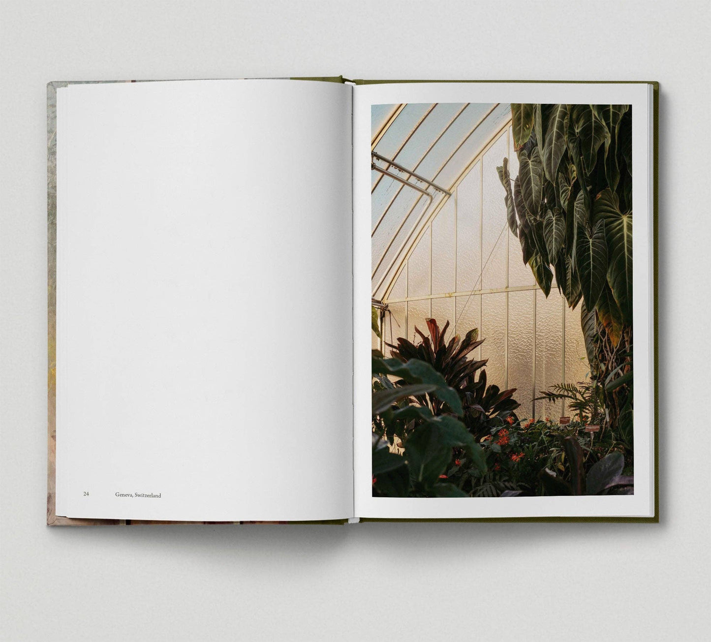 Botanical - Tales from the City
