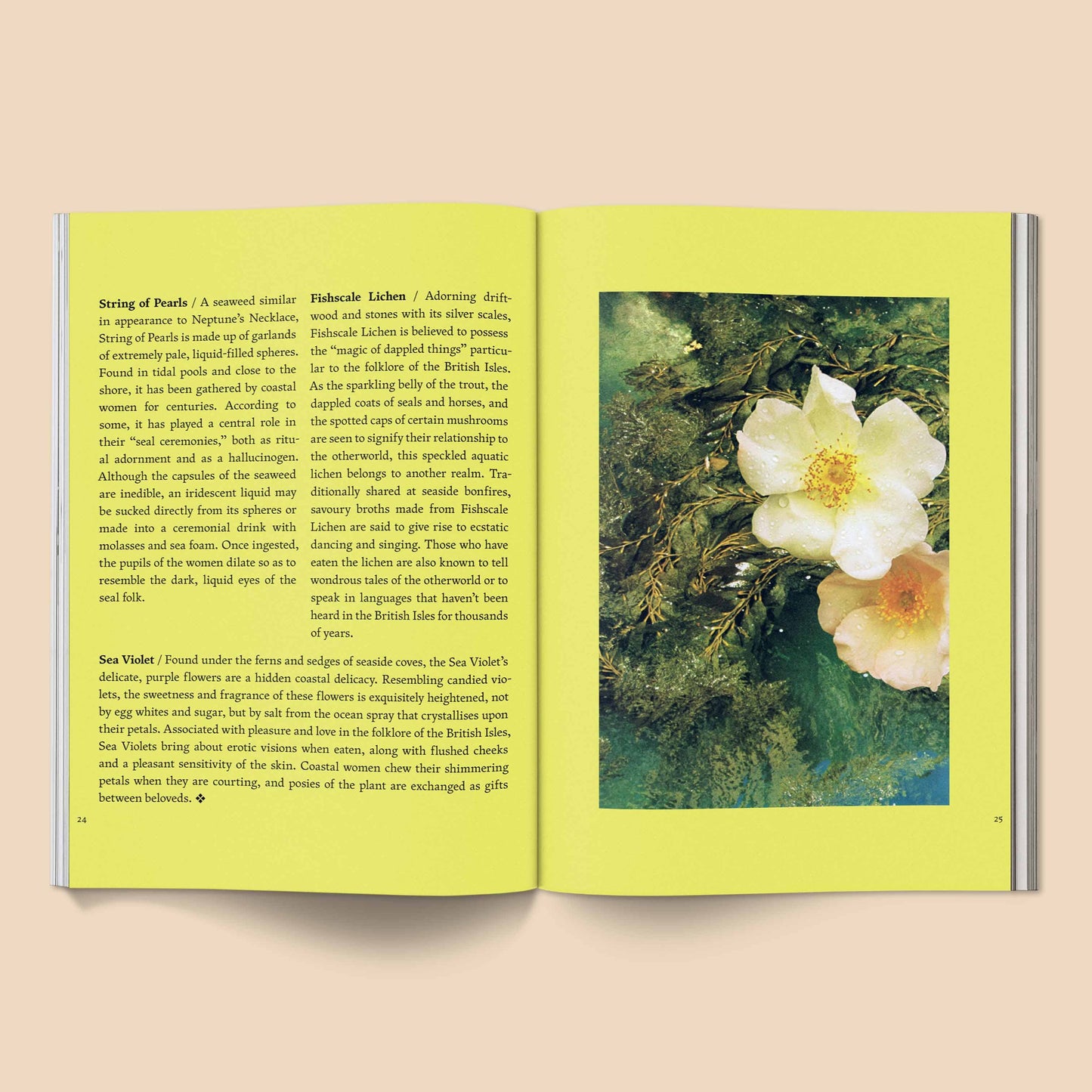 Fruit of Mythic Dreaming: Imagined Folklore