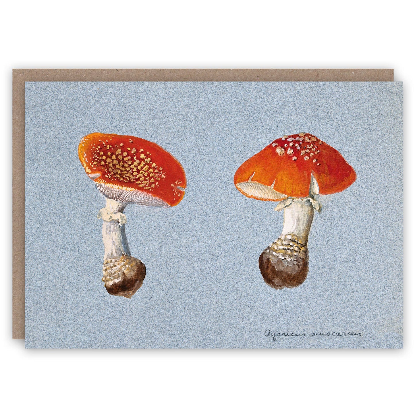 Fly Agaric - Greeting Card