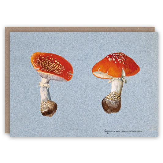 Fly Agaric - Greeting Card