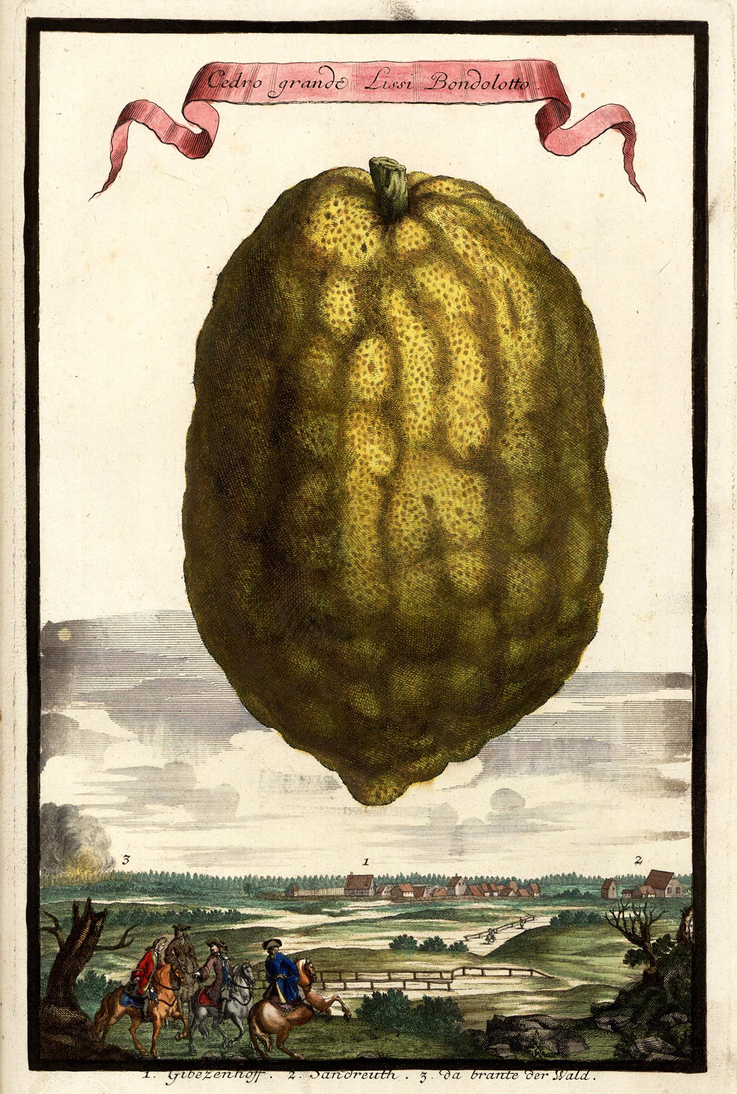 Cedro Grande Giclée Print