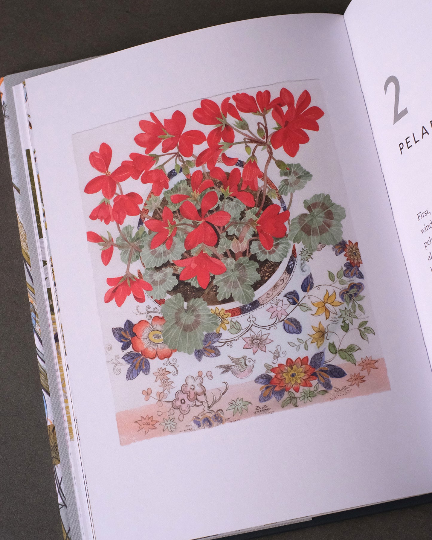 The Book Of Garden Flowers