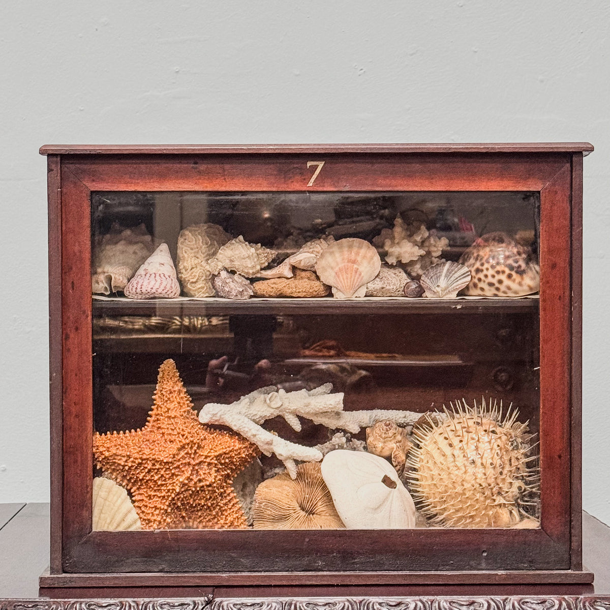 A Late 19th Century Mahogany Display Cabinet