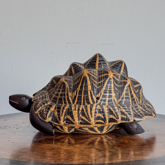 A 19th Century Indian Tortoise Box