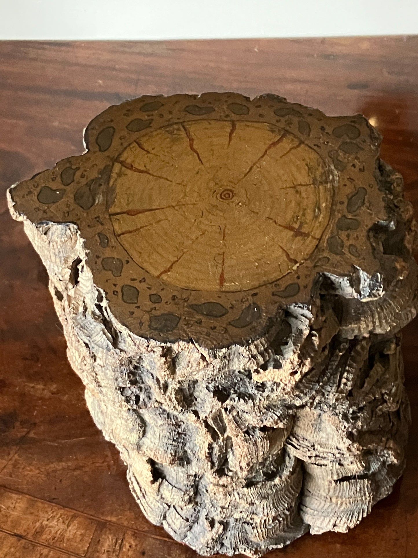 A Pair of Early 19th Century Cork Plinths