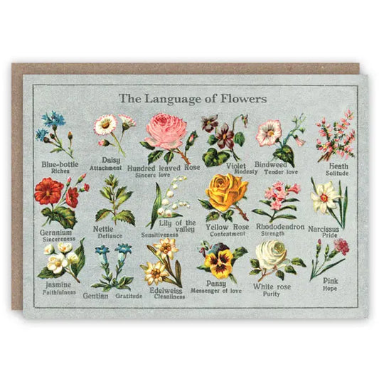 Language of Flowers - Greeting Card
