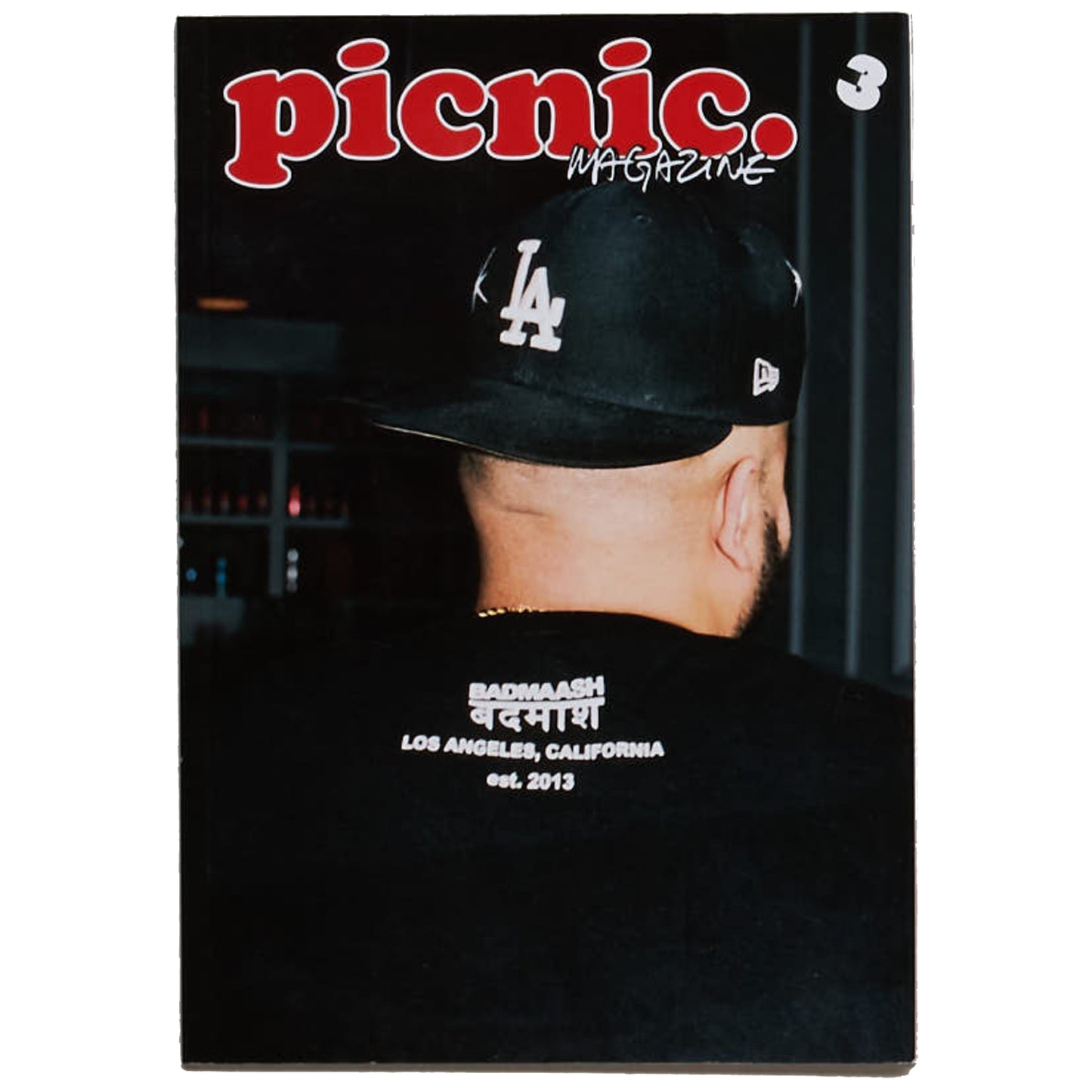 Picnic -  Issue 3