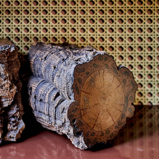 A Pair of Early 19th Century Cork Plinths