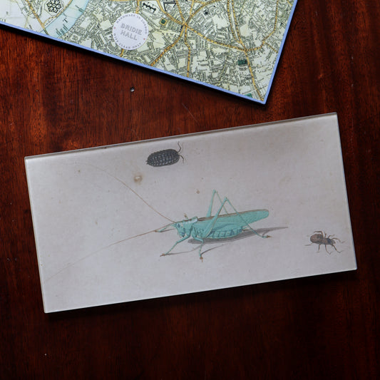 6" x 12" Cricket With A Spider & A Beetle Decoupage Tray