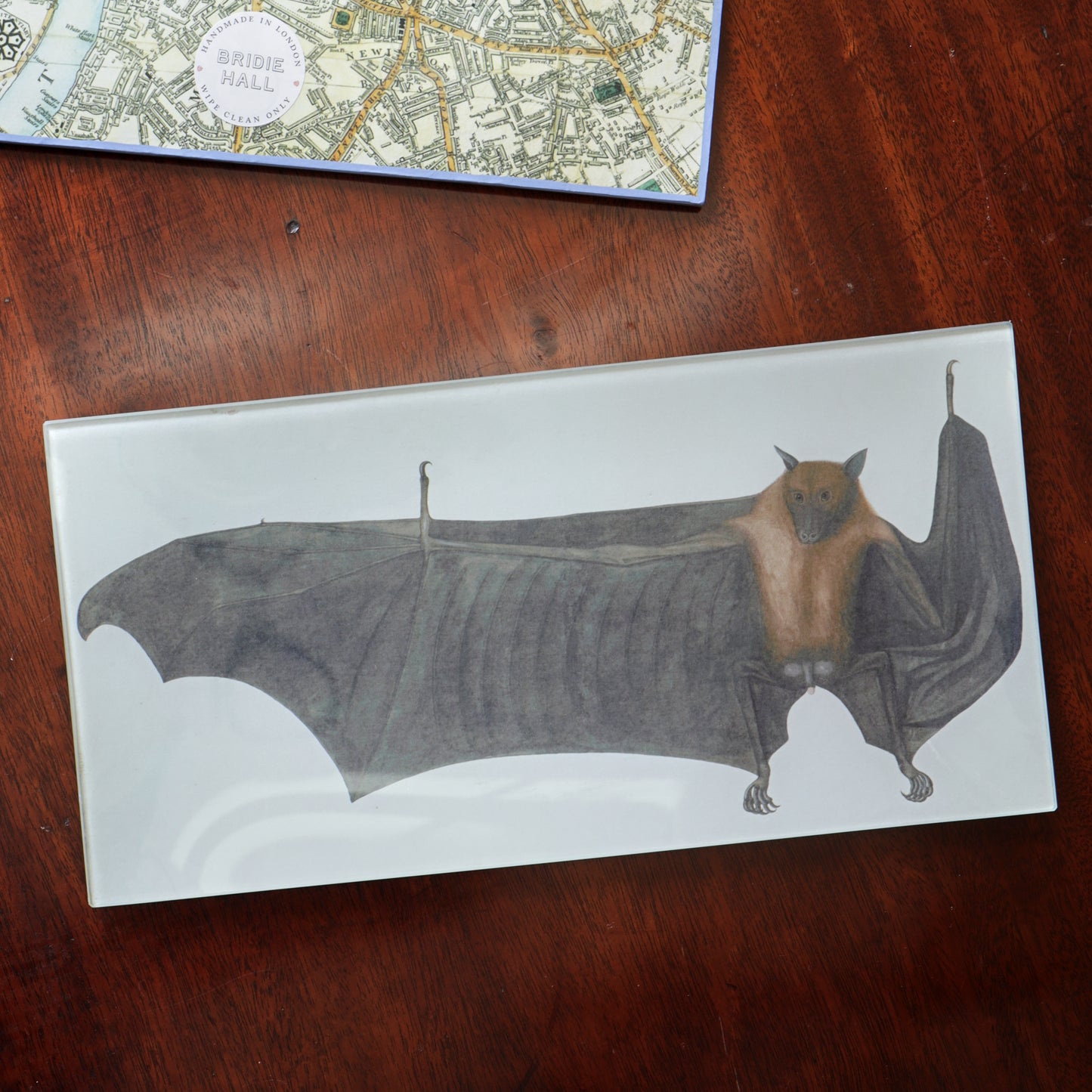 6" x 12" Great Indian Fruit Bat Decoupage Tray
