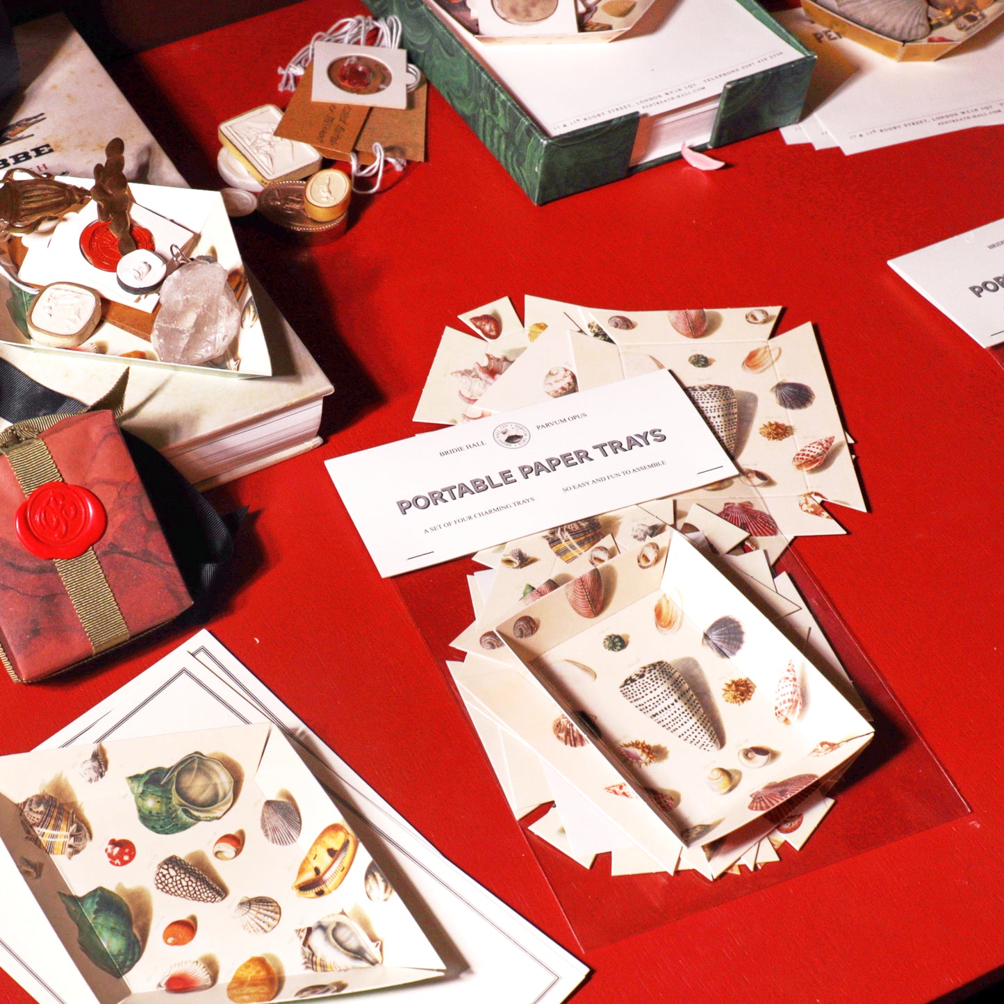 Portable Paper Trays - Set Of Four - Regenfuss Sea Shells