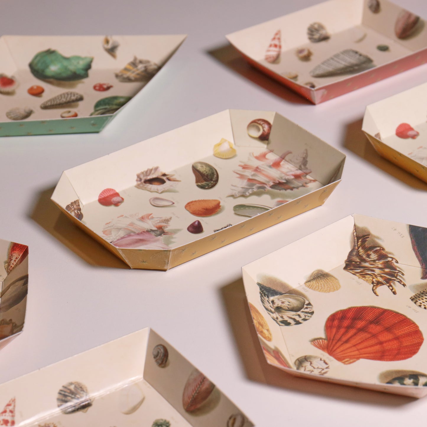 Portable Paper Trays - Set Of Four - Regenfuss Sea Shells