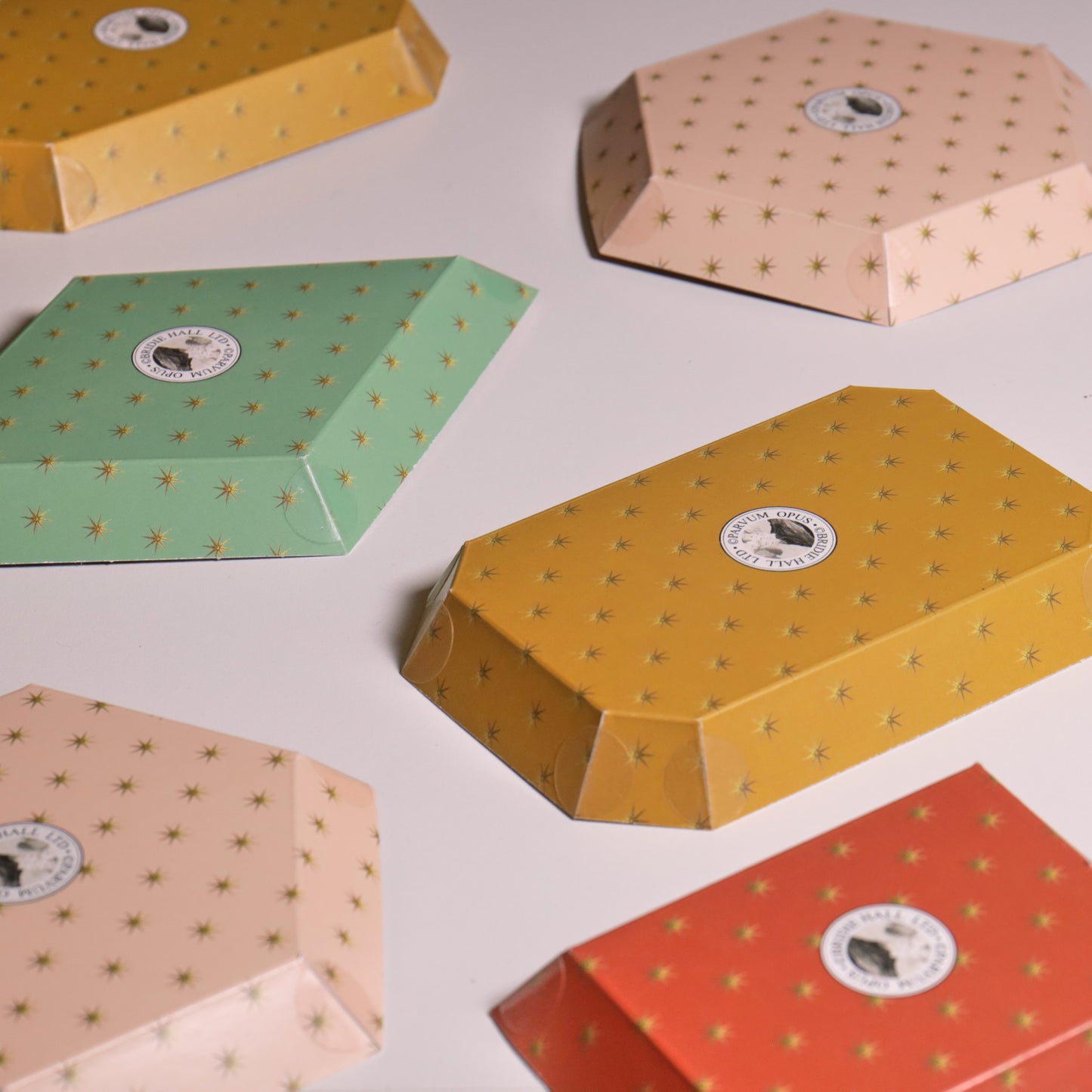 Portable Paper Trays - Set Of Four - Regenfuss Sea Shells