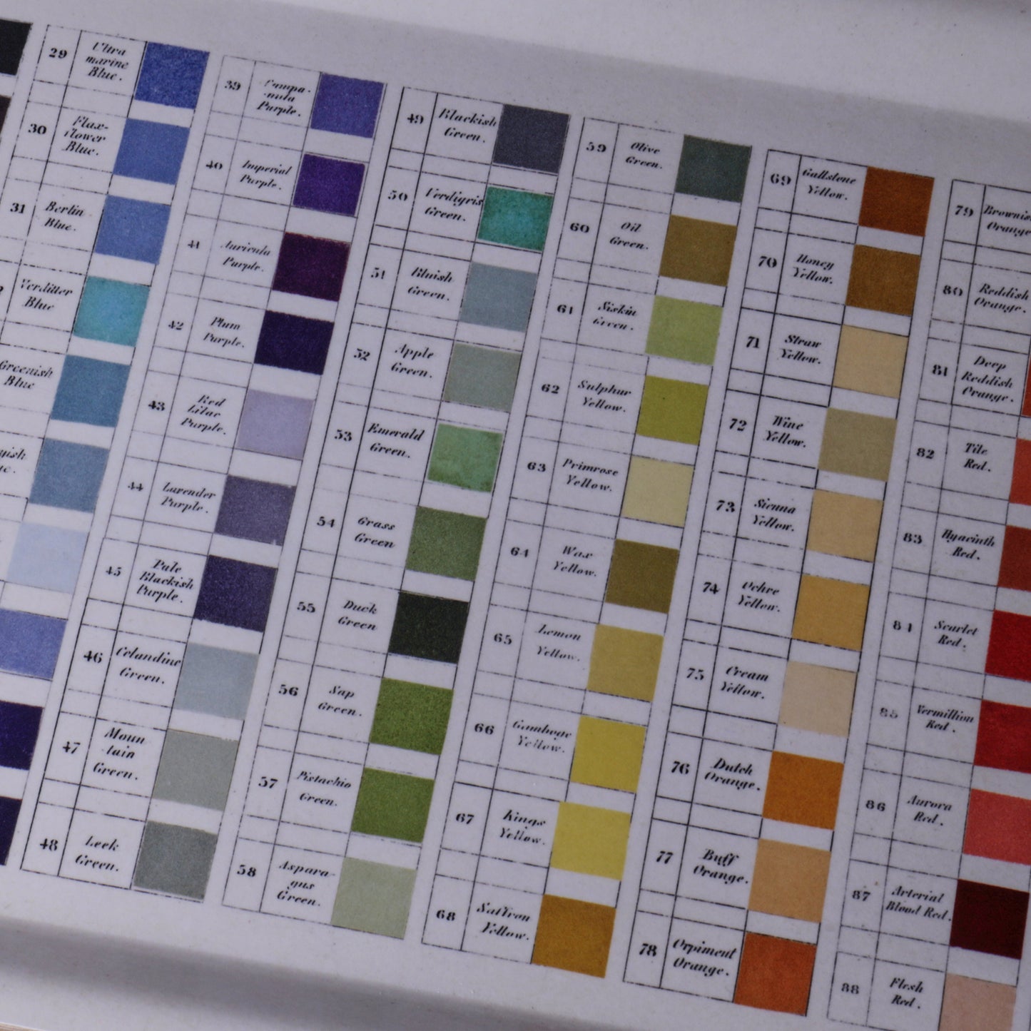 Werner's Nomenclature of Colours Birchwood Tray