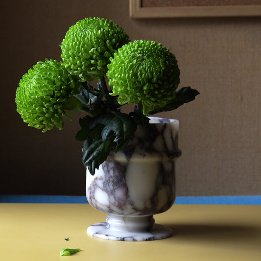 The Museum Marble Cup