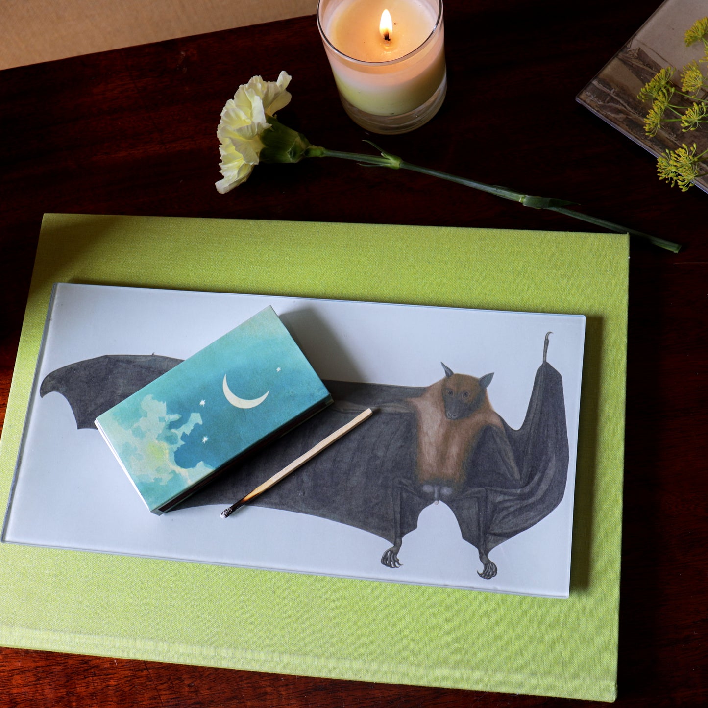 6" x 12" Great Indian Fruit Bat Decoupage Tray