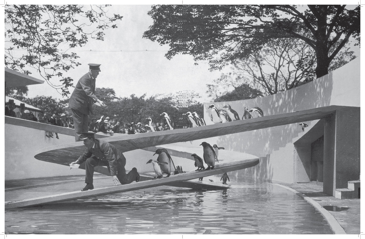 SPECIAL OFFER: The Pentreath & Hall Alphabet Book and Book Bag