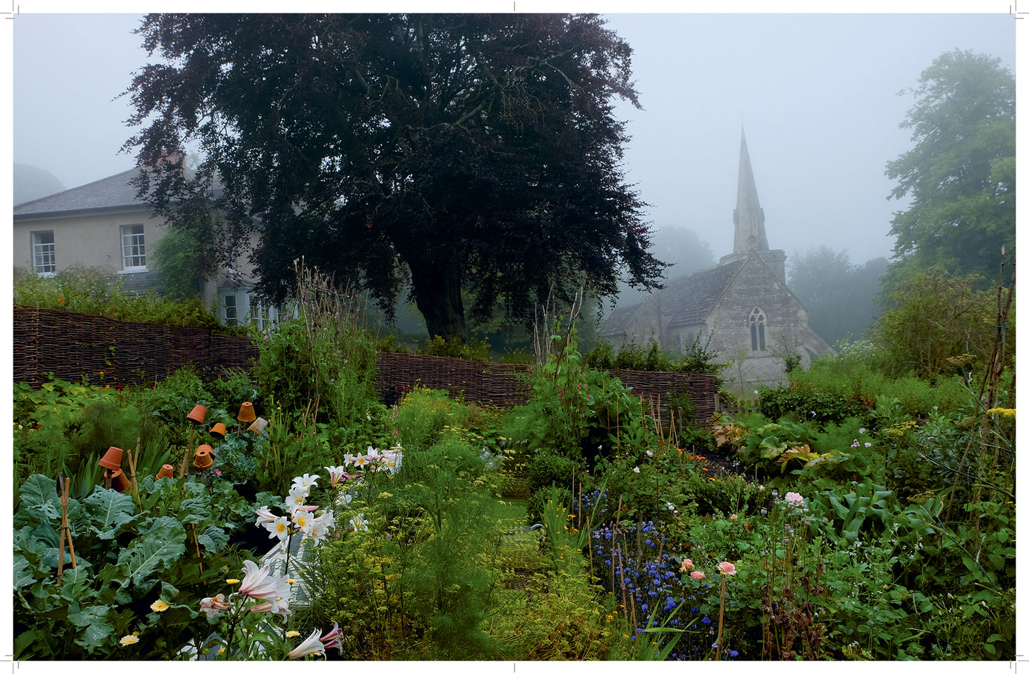 SPECIAL OFFER: The Pentreath & Hall Alphabet Book and Book Bag