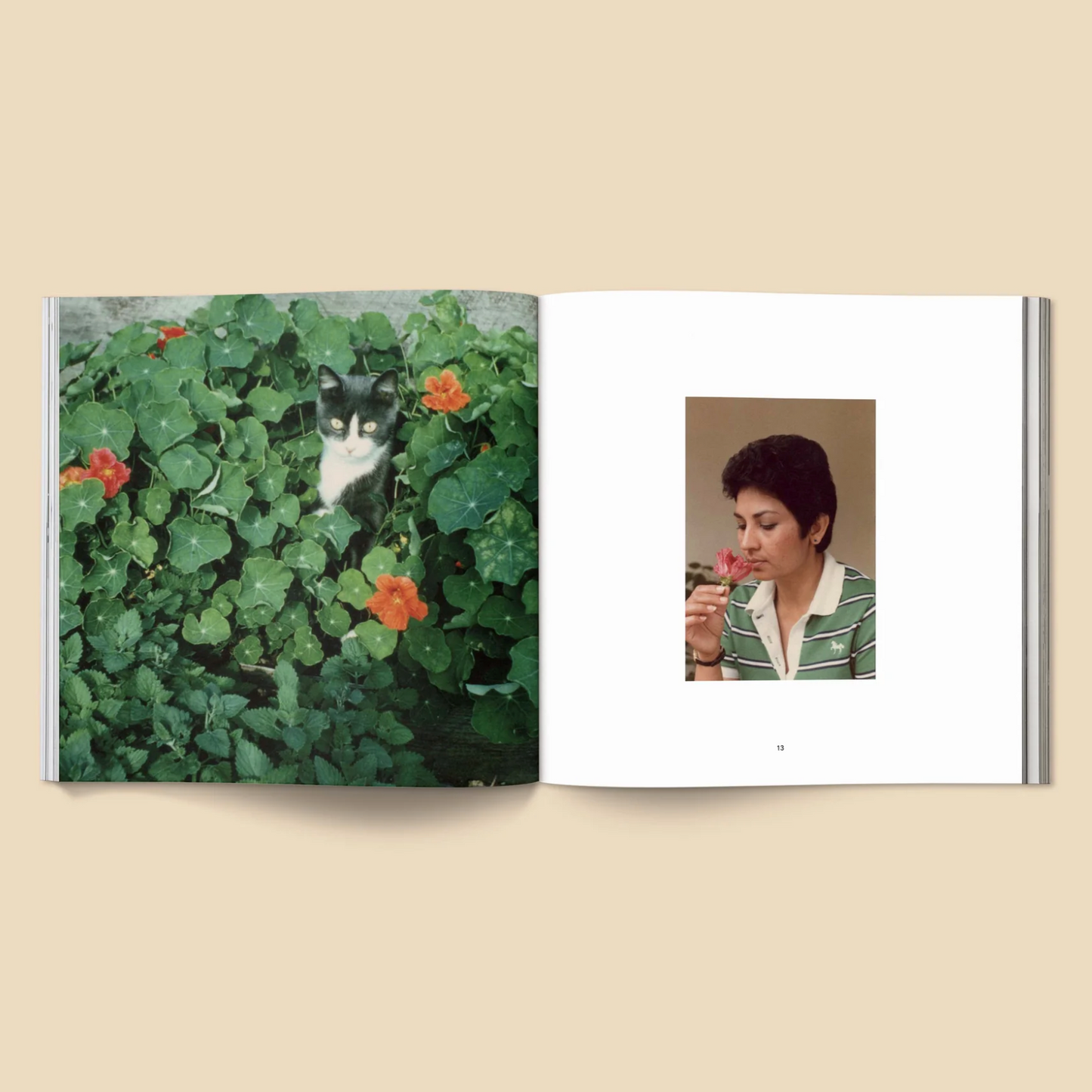 Forgotten Flowers Book