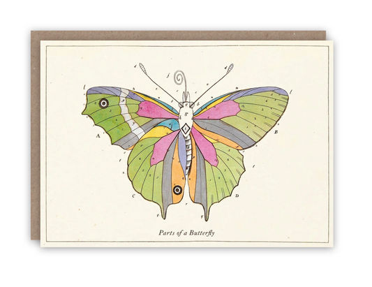 Parts of a Butterfly - Greeting Card