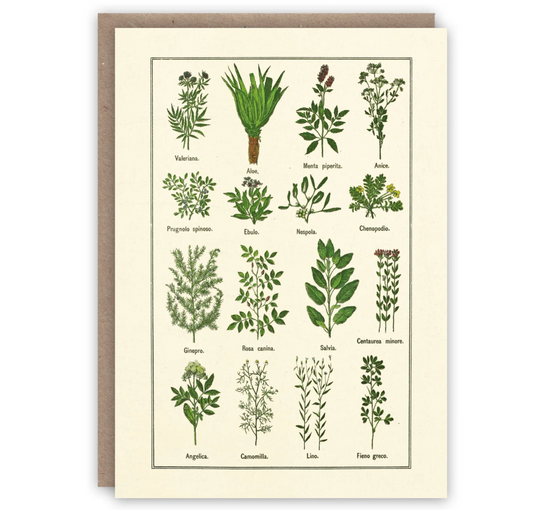 Healthy Herbs - Greeting Card
