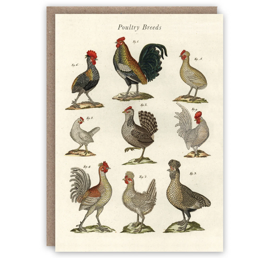 Poultry Breeds - Greeting Card