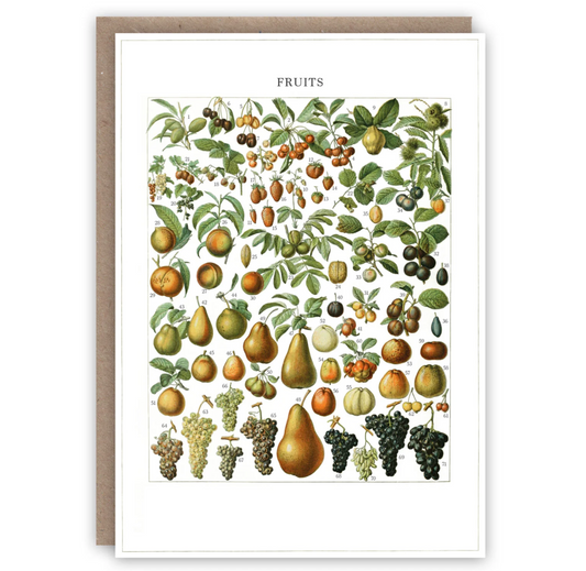 Fruits - Greeting Card