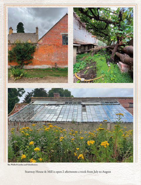 PRE-ORDER: The Bible of British Taste: Issue no. 4