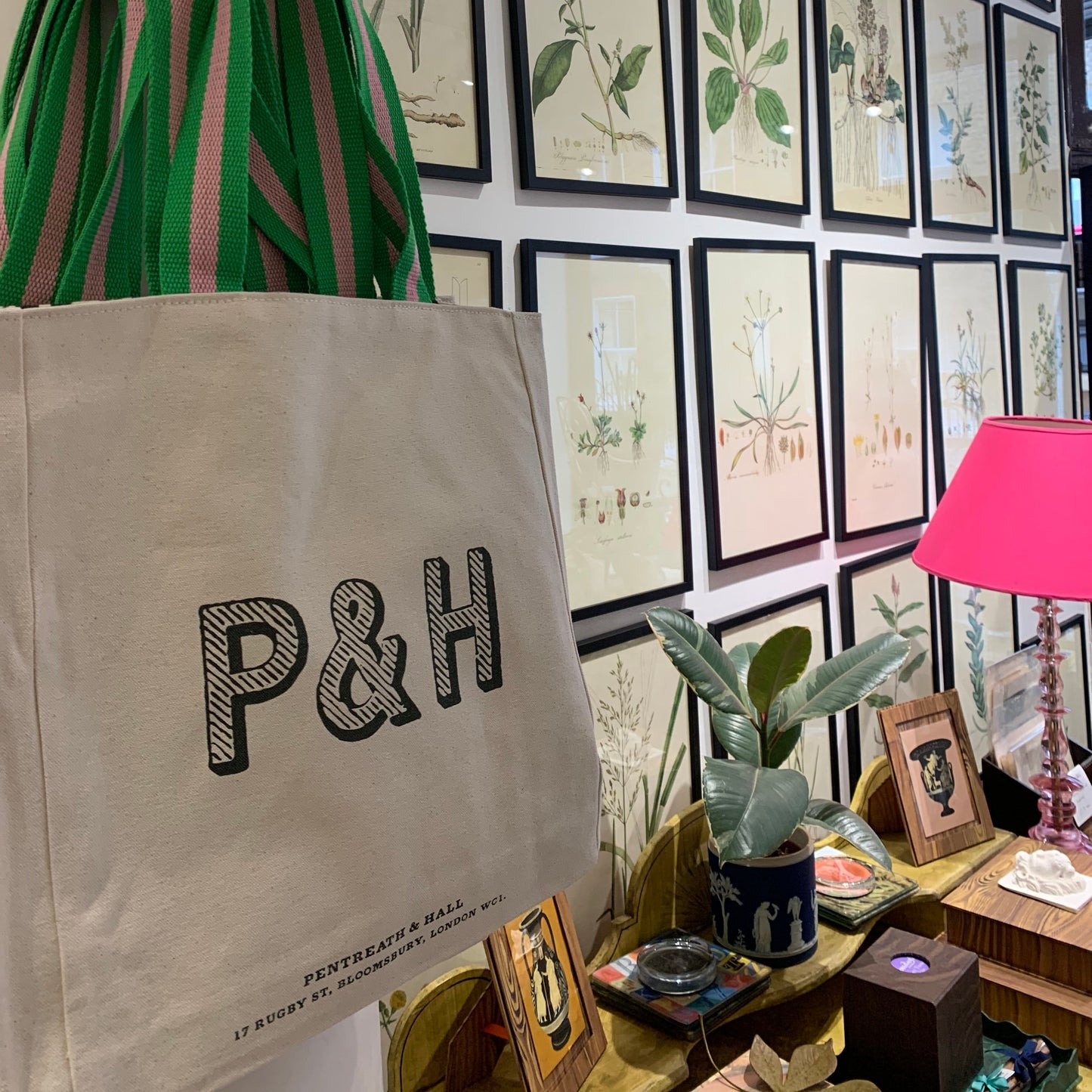 Poa trivialis ‘Flora Londinensis’ Botanical Print - Framed