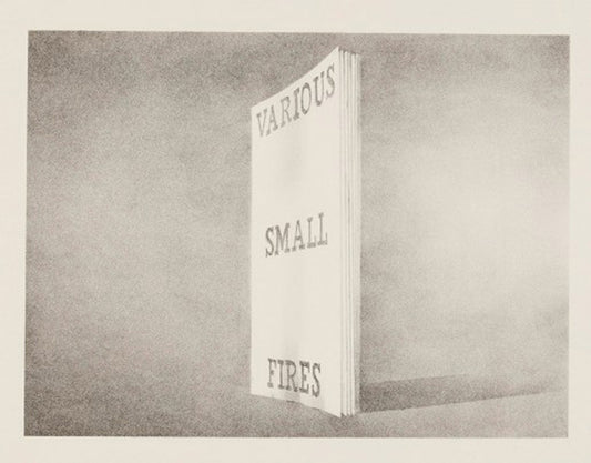 Various Small Fires, 1970 - Ed Ruscha