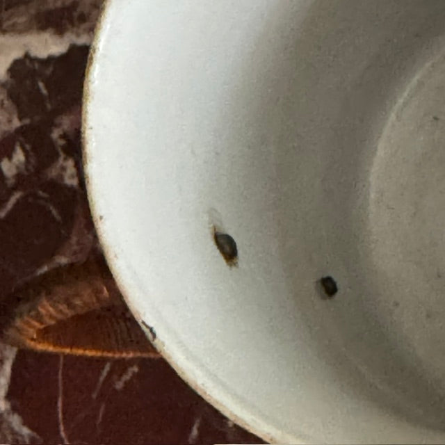 An 18th Century Qing Dynasty Porcelain Mug