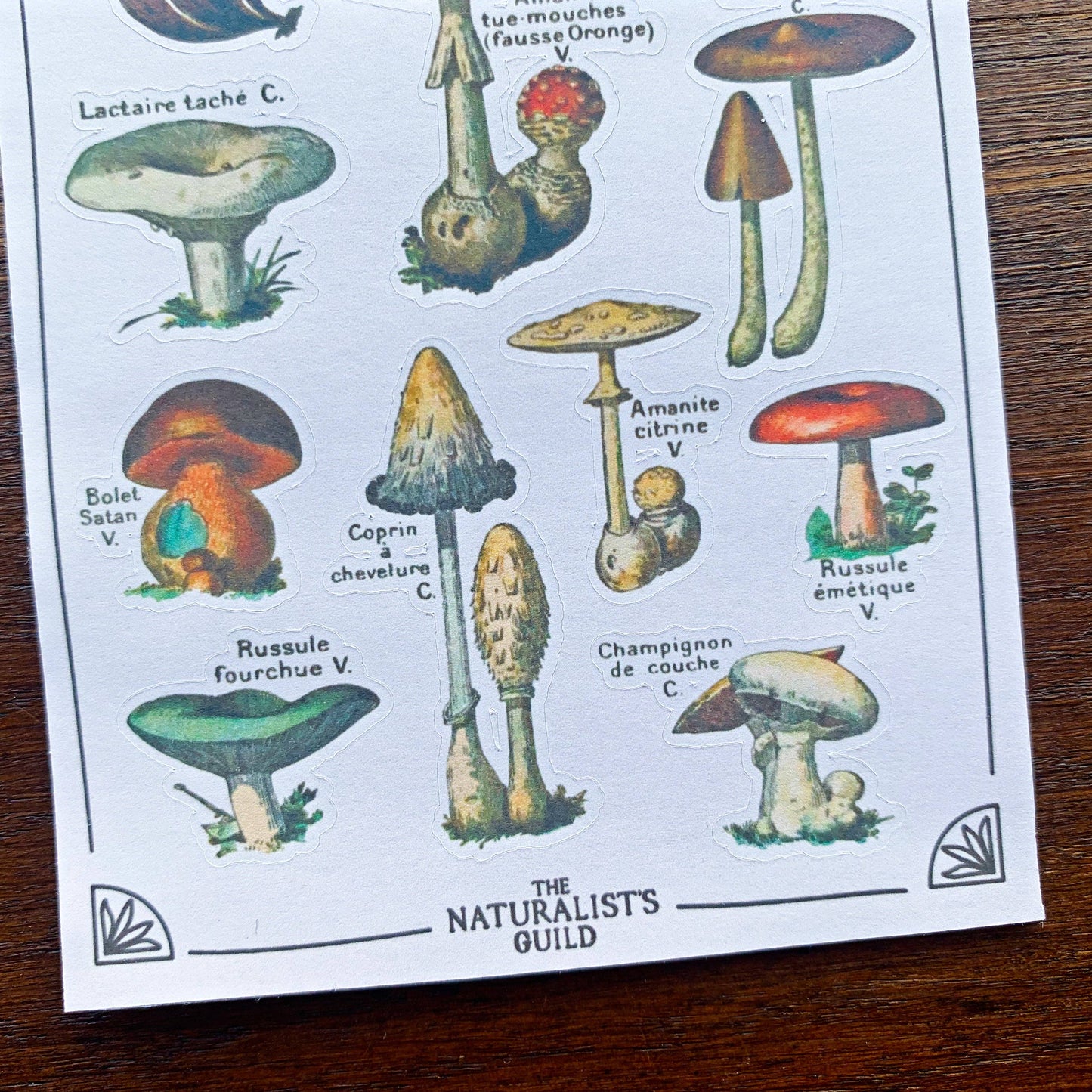 Vintage Mushroom Sticker Sheet