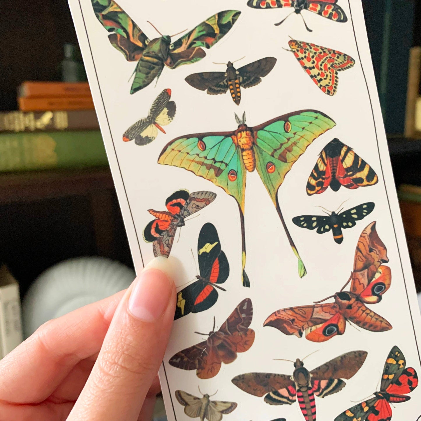 Vintage Moths Sticker Sheet