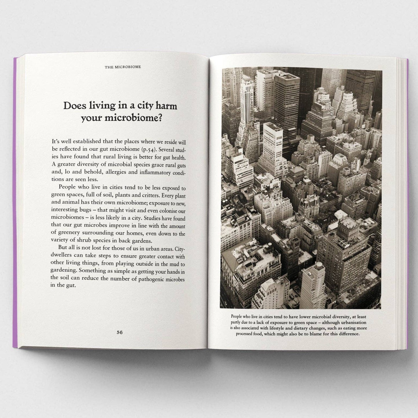 The Gut, A Pocket Primer