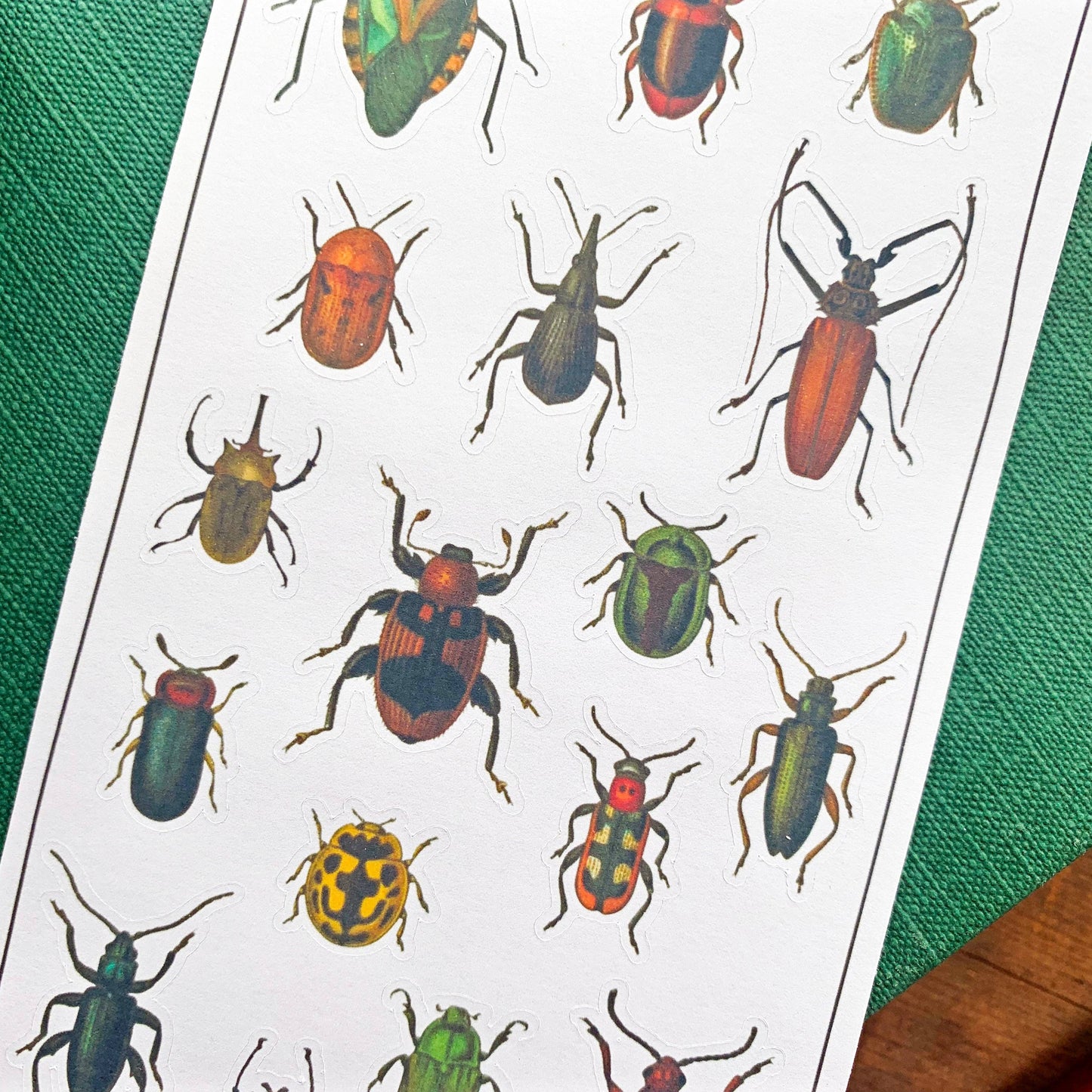 Vintage Beetles Sticker Sheet