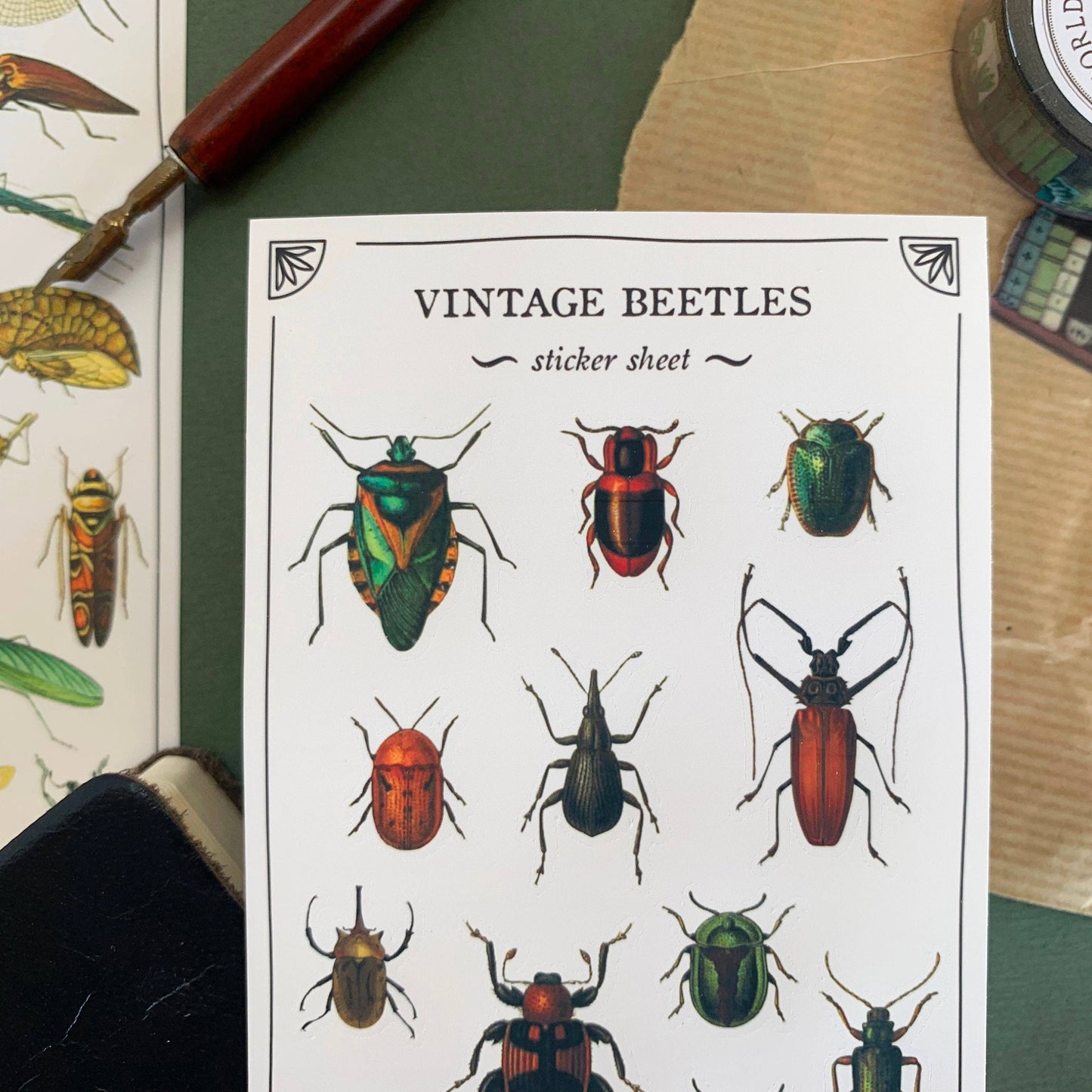 Vintage Beetles Sticker Sheet