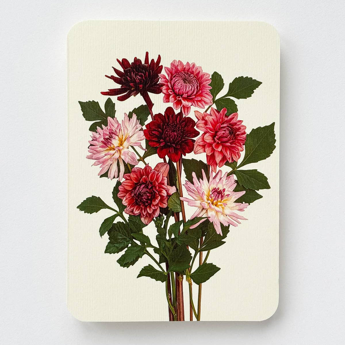 Garden Dahlias Greeting Card