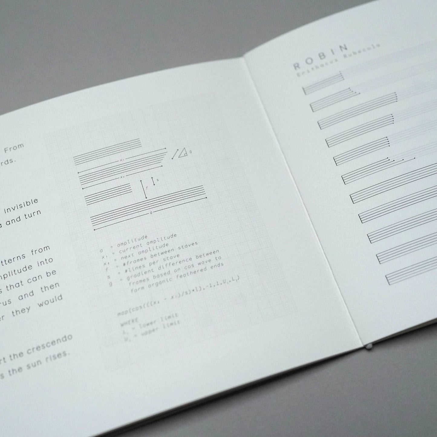 Dawn Chorus Book