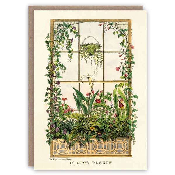 Indoor Plants - Greeting Card