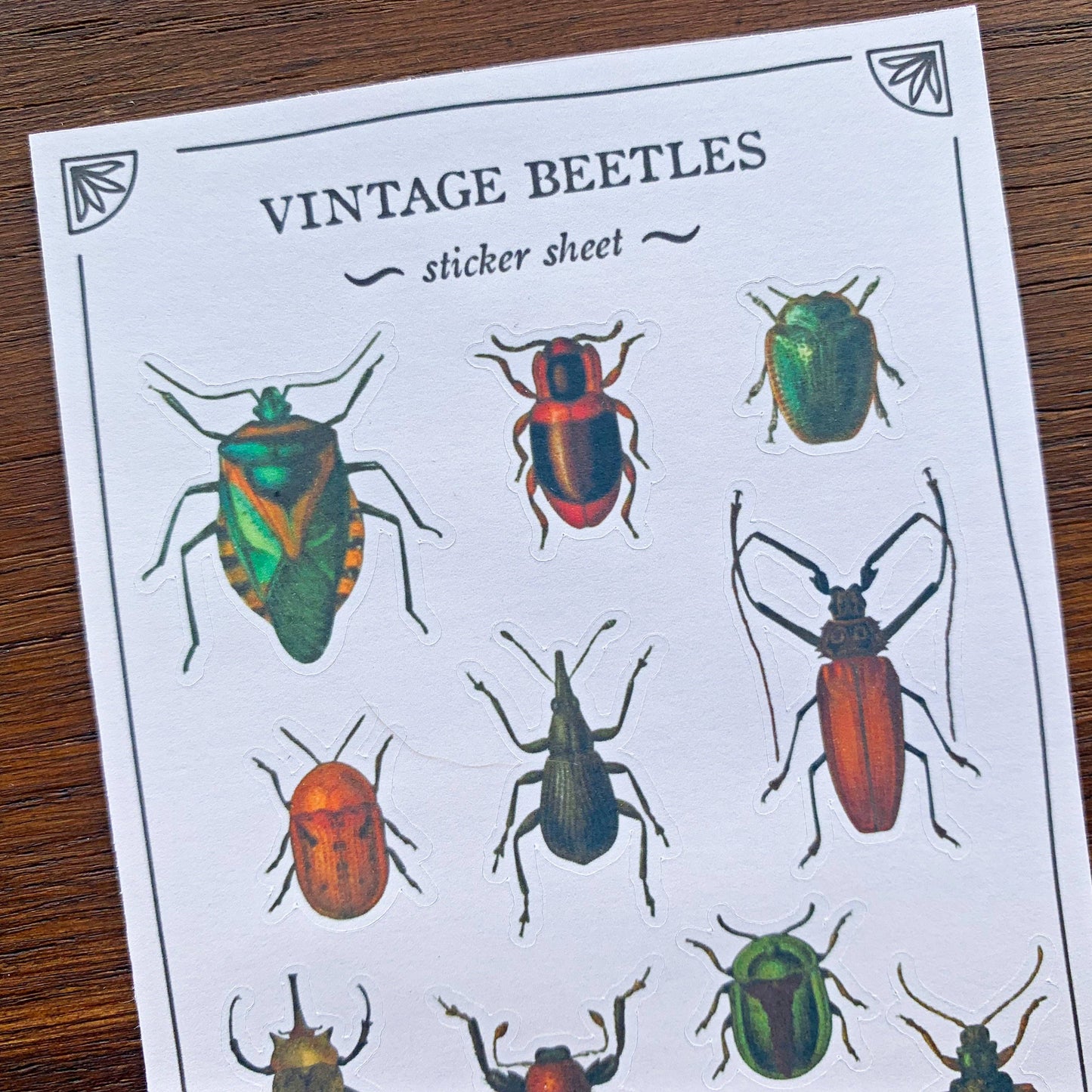 Vintage Beetles Sticker Sheet